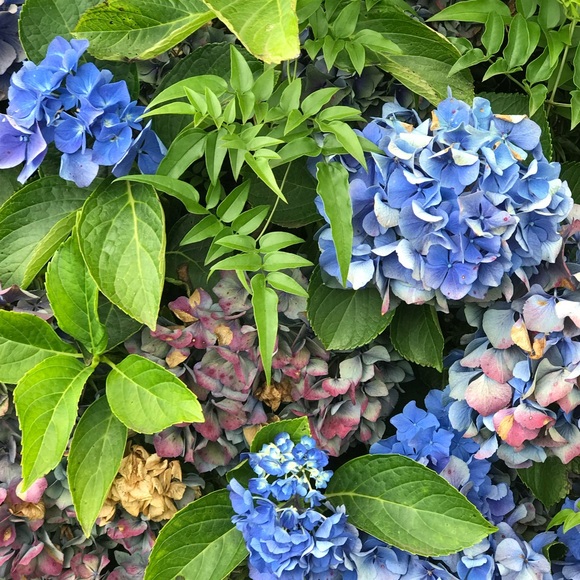 Get Notified When I Go Live! - Picture 6 of 10